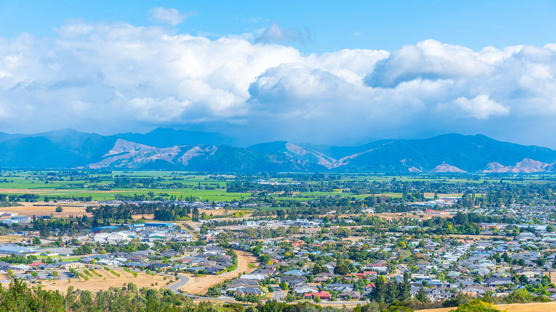 Centrally Located in the Heart of Blenheim
